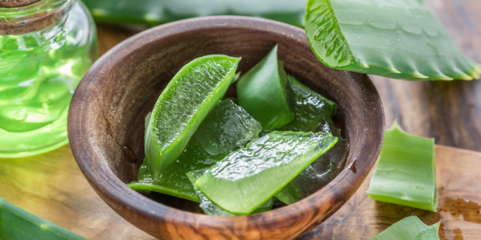 Aloe Vera (Aloe barbadensis Leaf Extract or Juice)