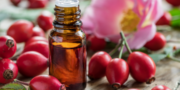 Rosehip Oil (Rosa Canina Fruit Oil)